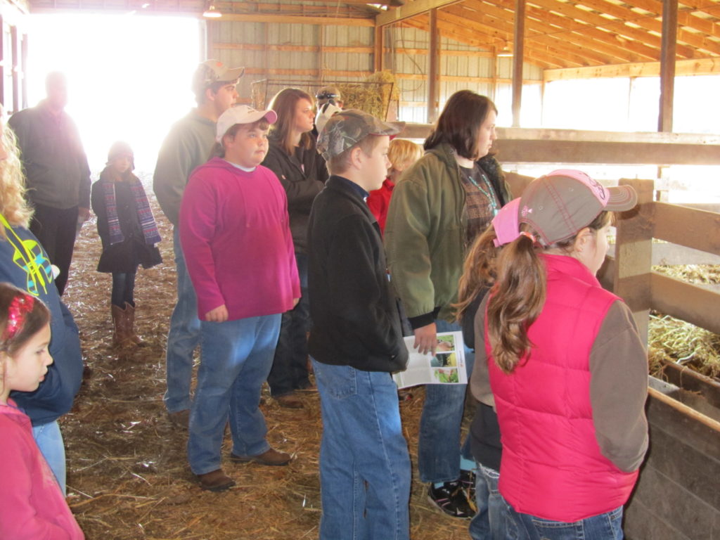 Livestock Project Group visiting a local barn