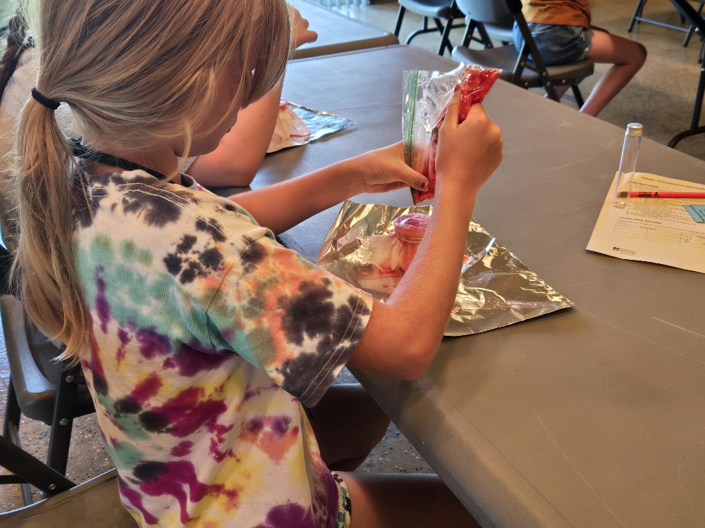 Student working on a project at Vet Science Camp