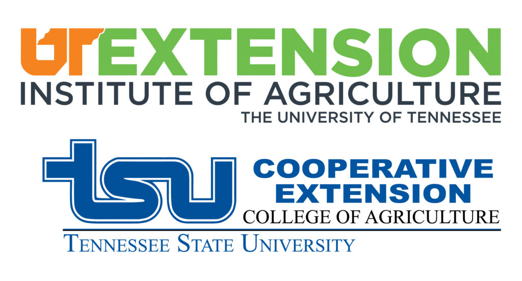 UT-TSU combined logo