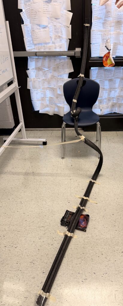 4-H Rollercoaster lesson